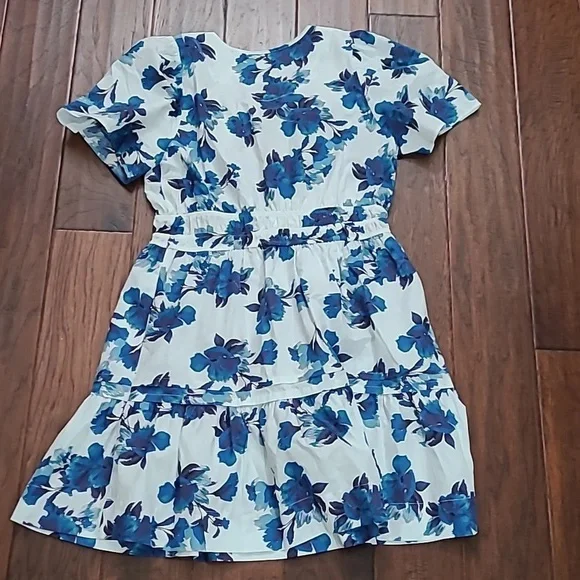 Anthropologie White and Blue Floral Mini Dress - Picture 4 of 10